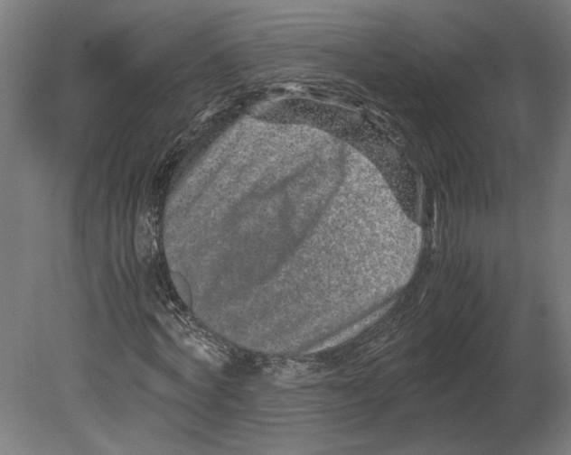 X0000080710772200701121816