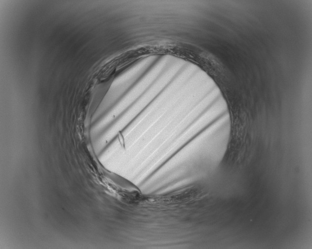 X0000080710773200701121816