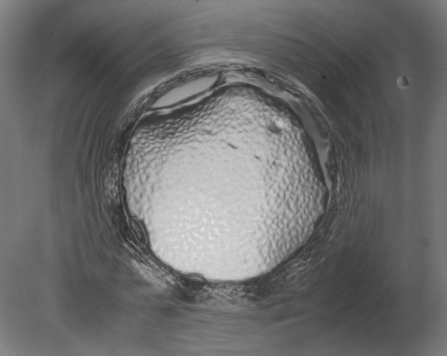 X0000080710775200701121816