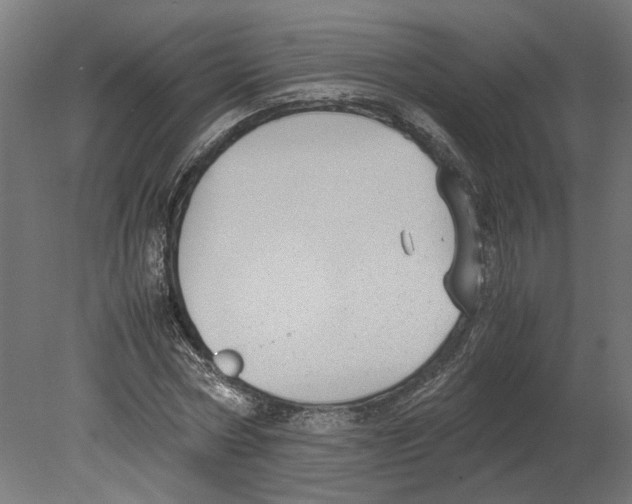 X0000080710778200701121816