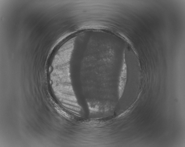 X0000080710779200701121816