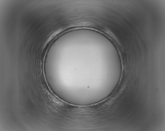 X0000080710781200701121816