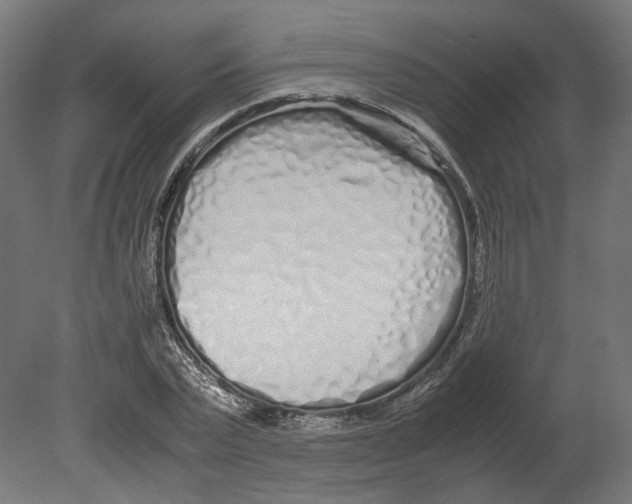 X0000080710783200701121816