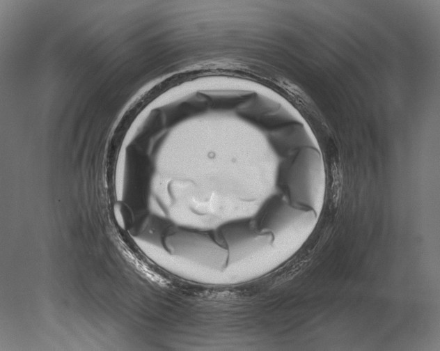 X0000080710784200701121816