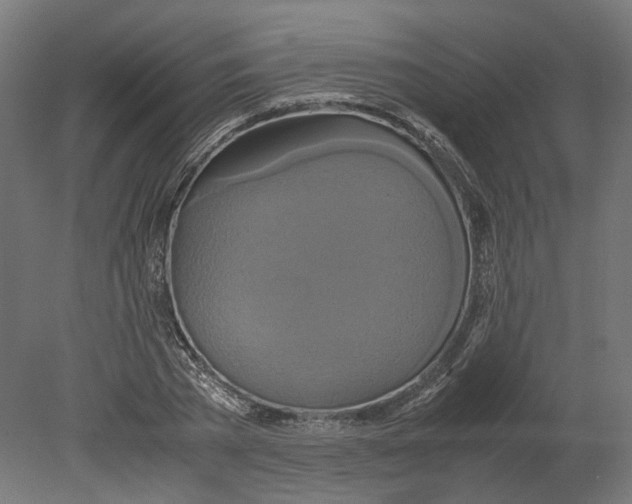 X0000080710785200701121816