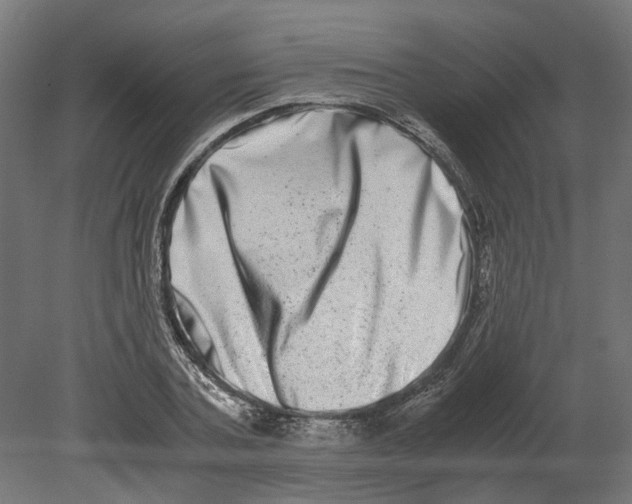 X0000080710787200701121816