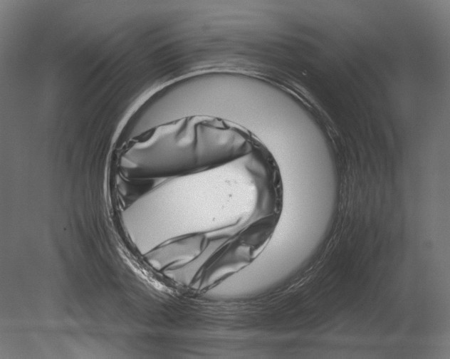 X0000080710788200701121816