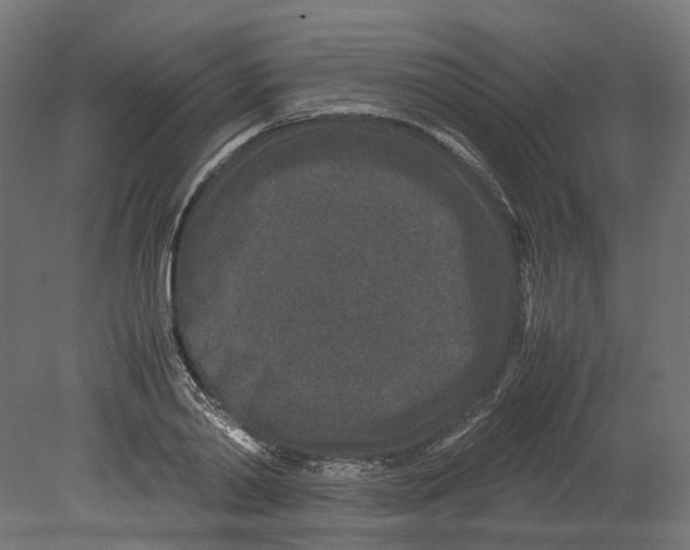 X0000080710790200701121816