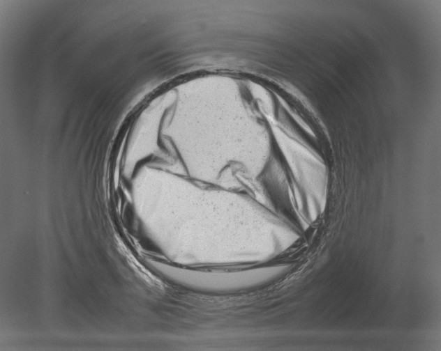 X0000080710791200701121816