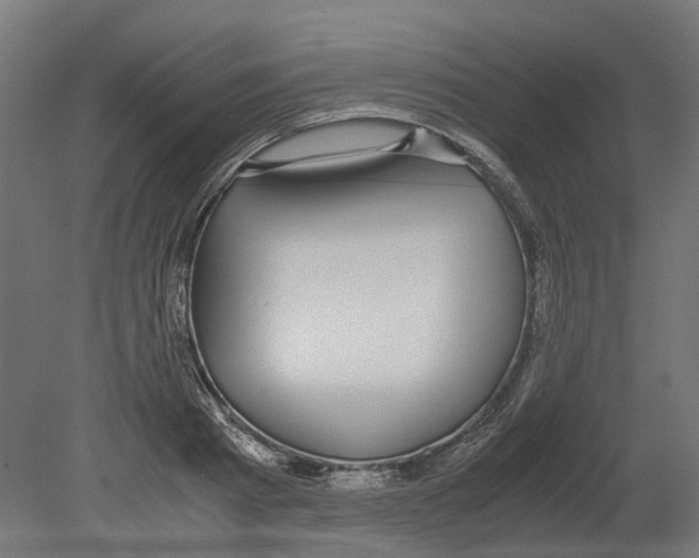 X0000080710793200701121816