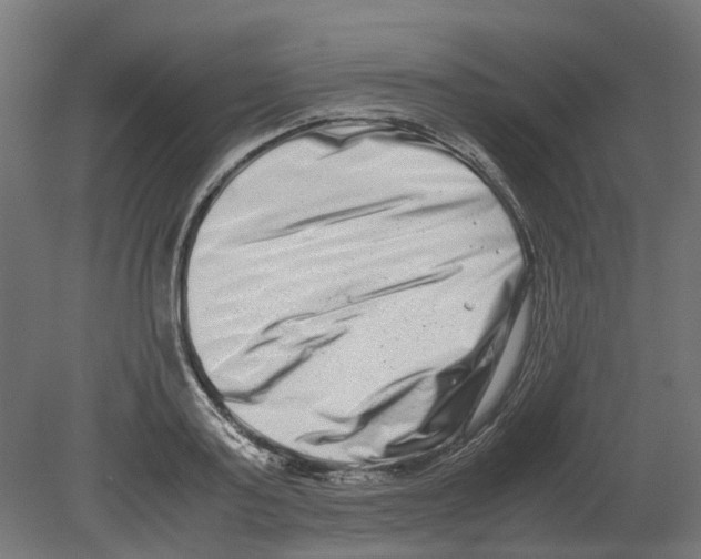 X0000080710795200701121816