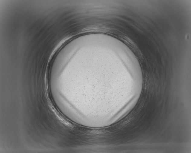 X0000080710796200701121816