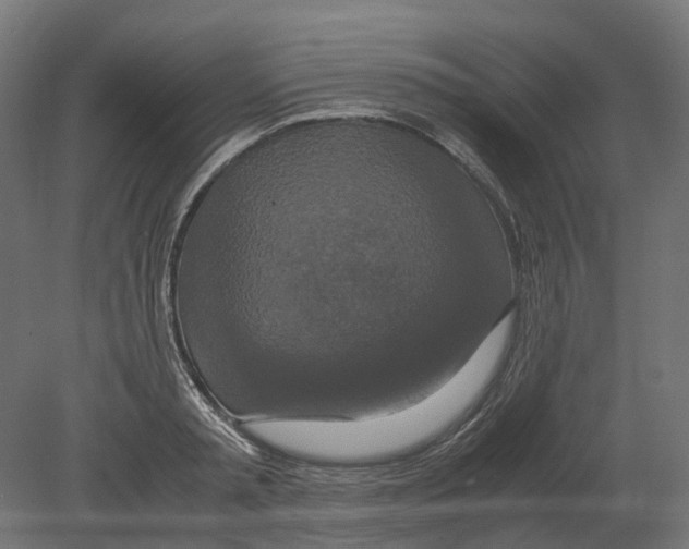 X0000080710797200701121816