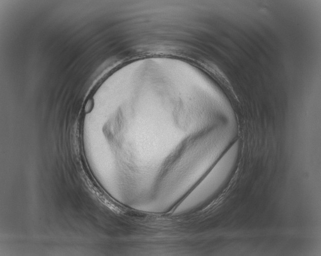 X0000080710798200701121816