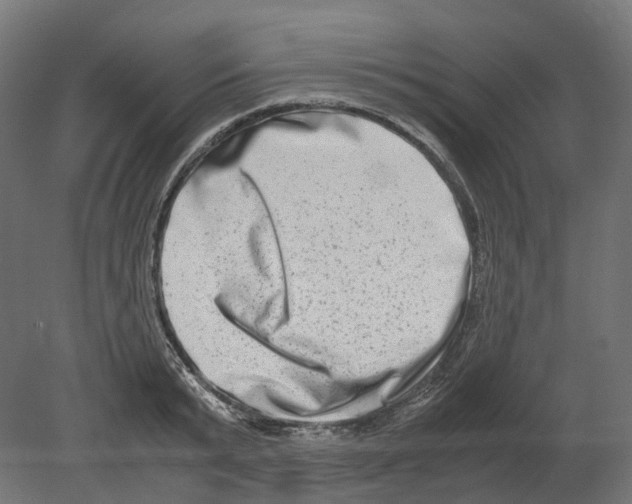 X0000080710799200701121816