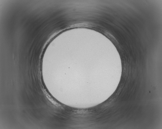 X0000080710800200701121816