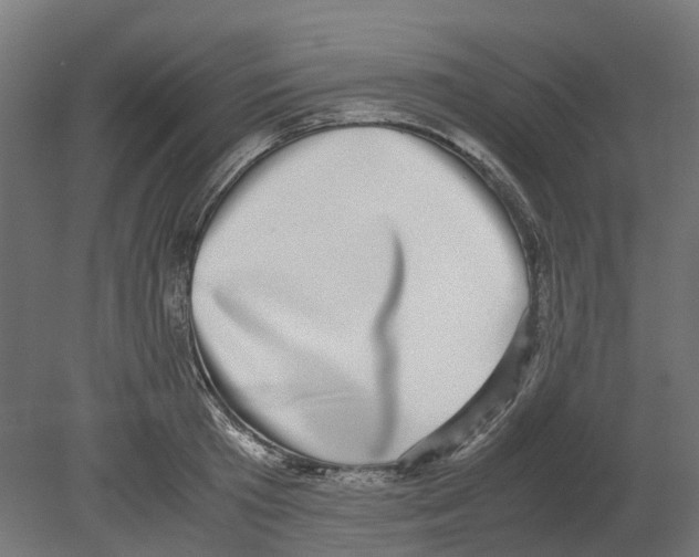 X0000080710801200701121816