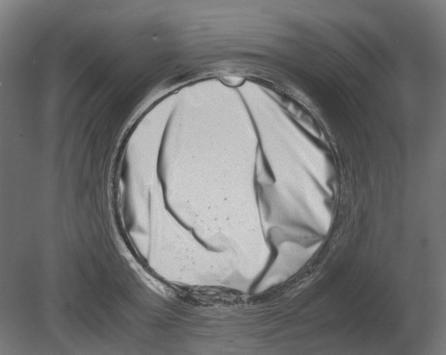 X0000080710803200701121816