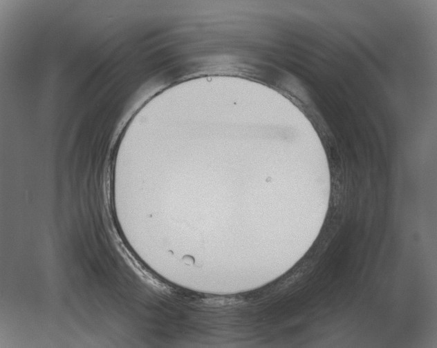 X0000080710804200701121816