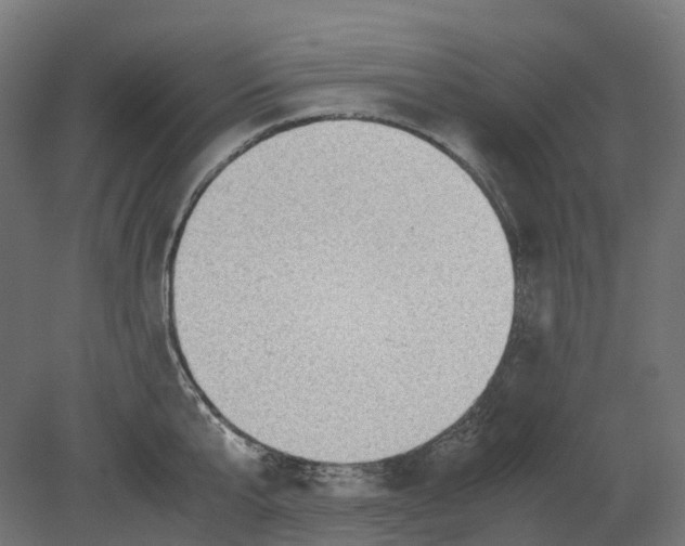 X0000080710807200701121816