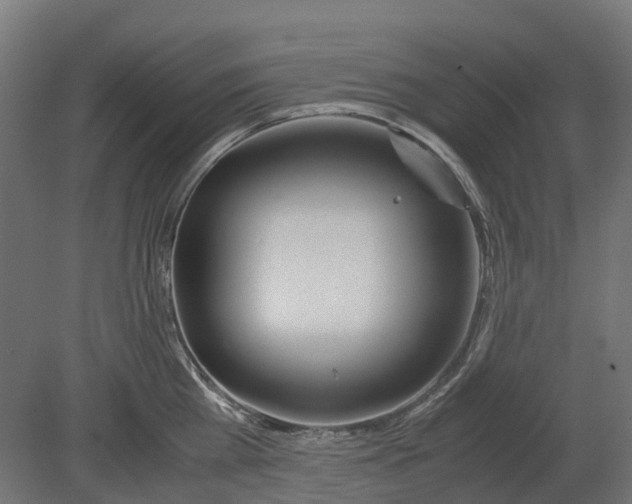 X0000080710809200701121816