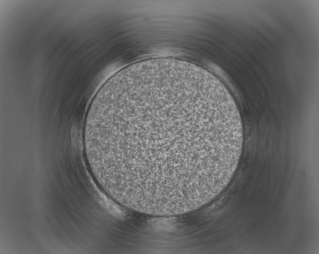 X0000080710810200701121816