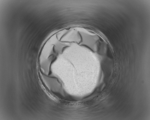 X0000080710811200701121816