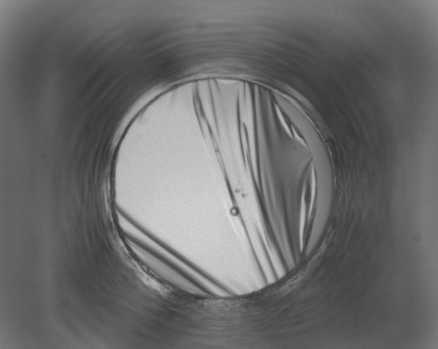 X0000080710812200701121816