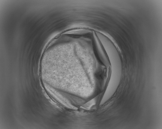 X0000080710815200701121816