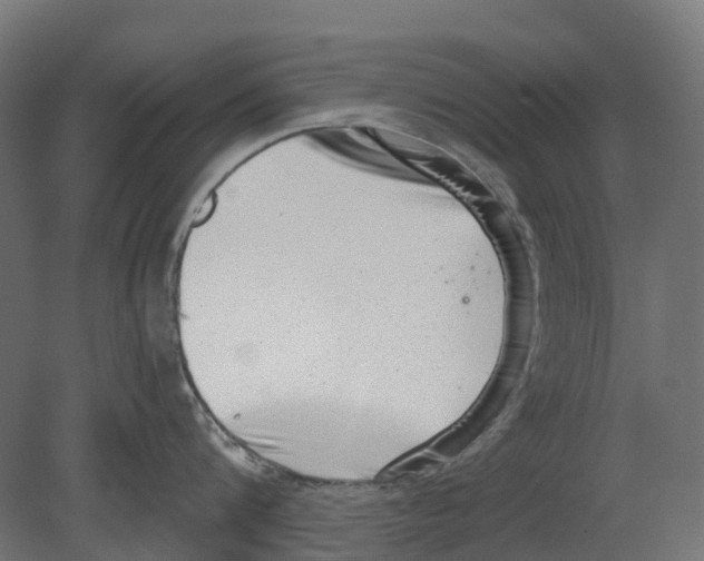 X0000080710816200701121816