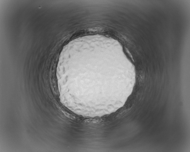 X0000080710817200701121815