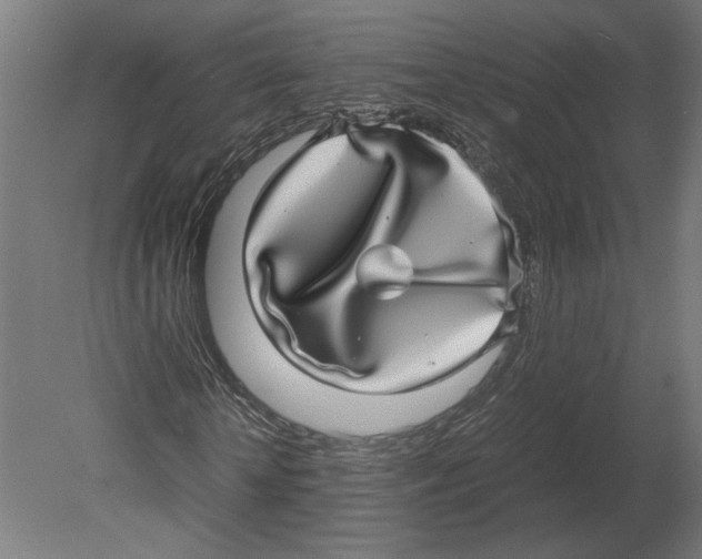 X0000080710818200701121815