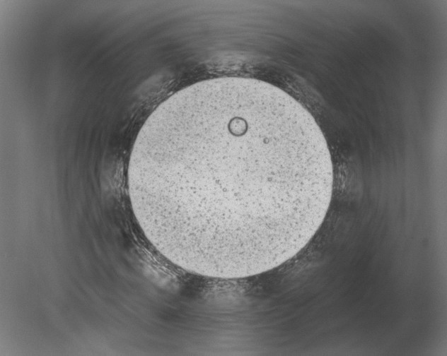 X0000080710820200701121815