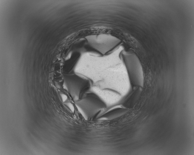 X0000080710821200701121815