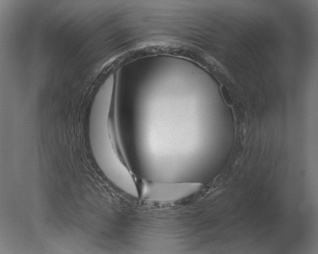 X0000080710822200701121815