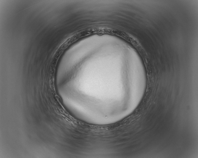 X0000080710823200701121815