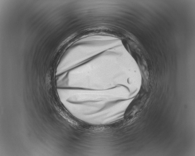 X0000080710826200701121815