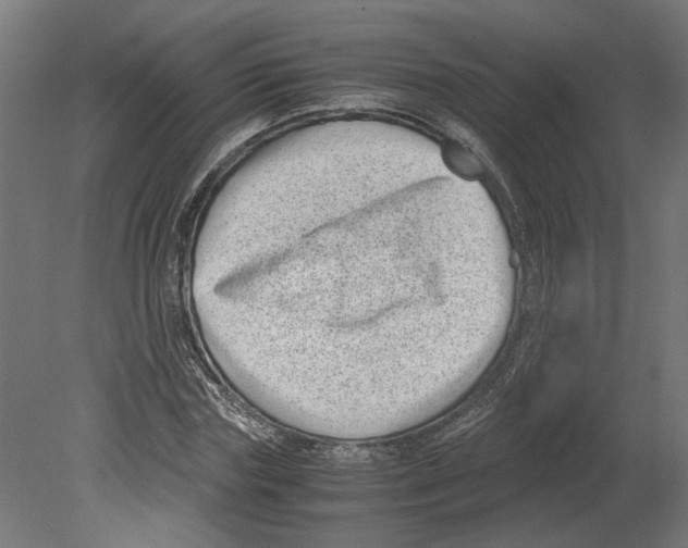 X0000080710827200701121815