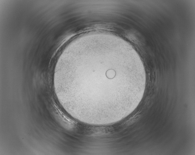 X0000080710828200701121815