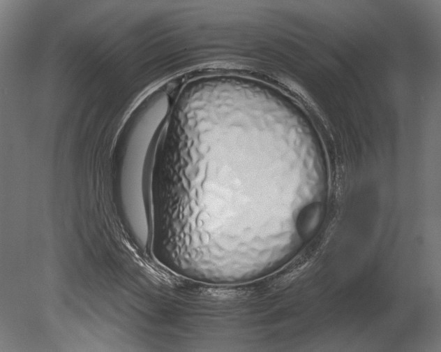 X0000080710829200701121815