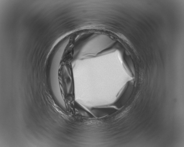 X0000080710830200701121815