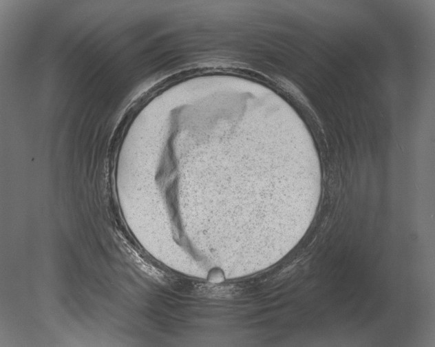 X0000080710831200701121815