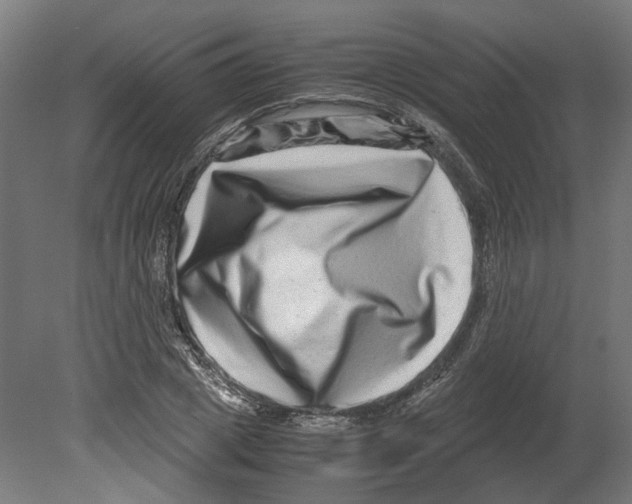 X0000080710833200701121815