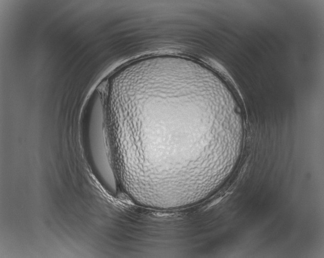 X0000080710835200701121815