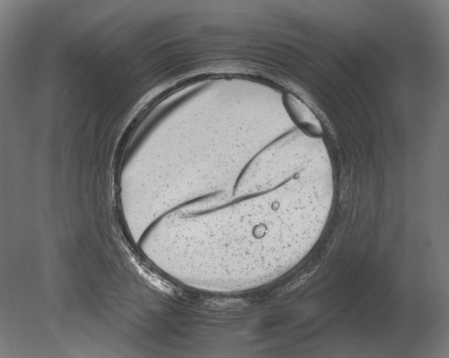 X0000080710837200701121815