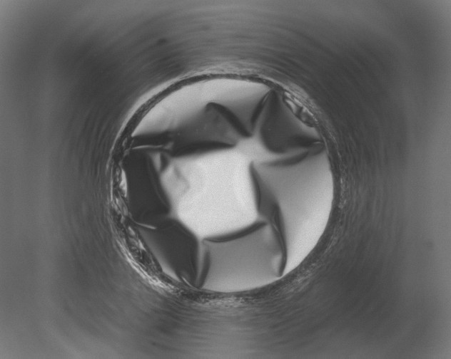 X0000080710838200701121815