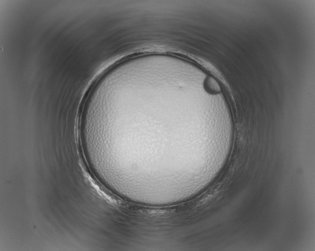 X0000080710839200701121815