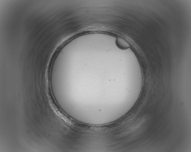 X0000080710840200701121815