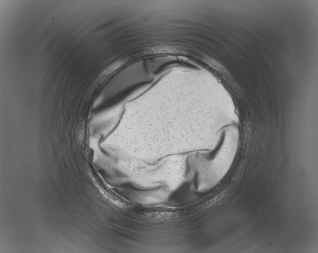 X0000080710841200701121815