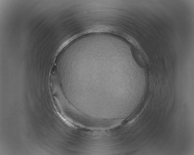 X0000080710842200701121815